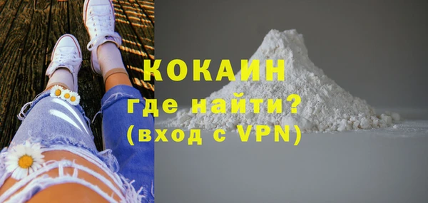 амф Каменка