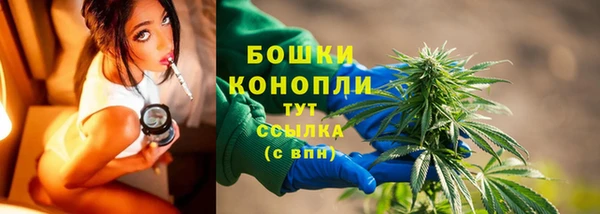 скорость Каменногорск