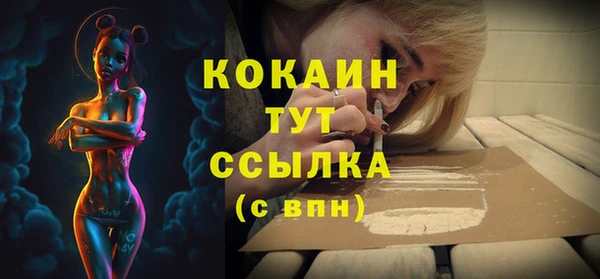 скорость Каменногорск