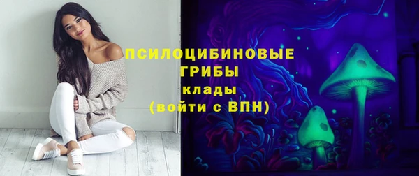 амф Каменка