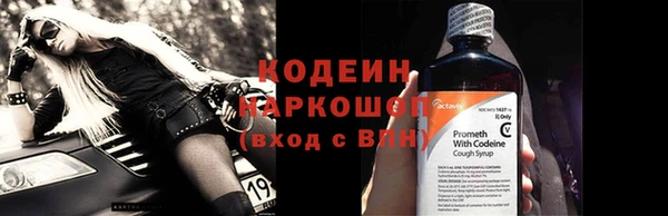 амф Каменка