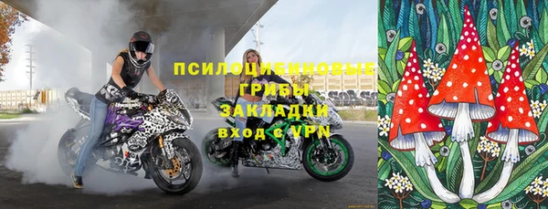 скорость Каменногорск