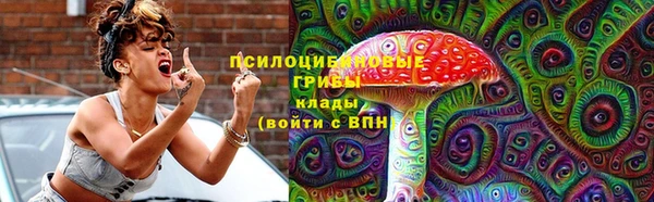 скорость Каменногорск