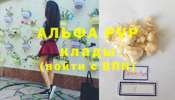 амф Каменка
