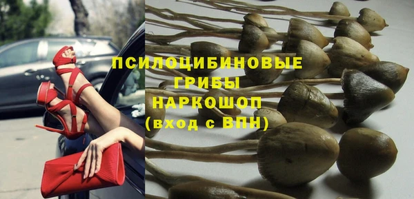 мяу мяу мука Инсар