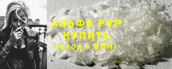 скорость Каменногорск