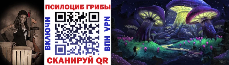 Купить где  Каменск-Уральский  Галлюциногенные грибы Psilocybine cubensis 